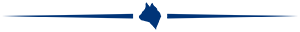 Animal Divider blue Animal Divider blue